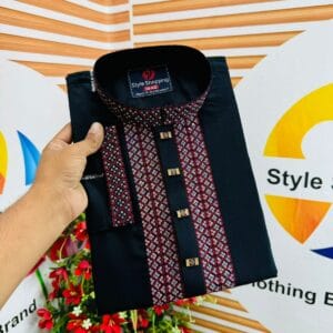 Embroidery Panjabi