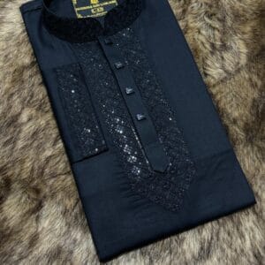 Stylish Panjabi