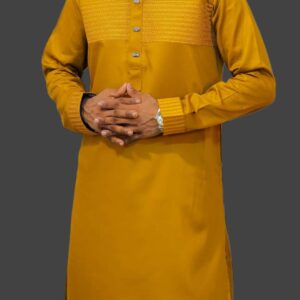 Eid Collection Panjabi
