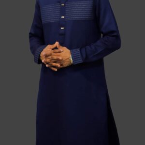 Eid Collection Panjabi