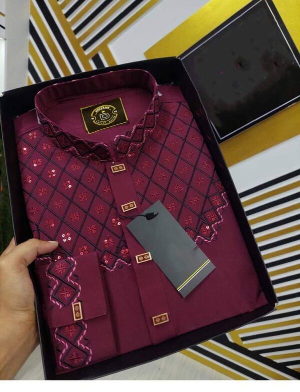 Eid Collection Panjabi - Image 4