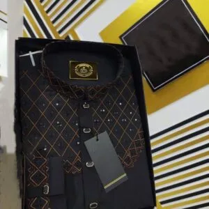 Eid Collection Panjabi
