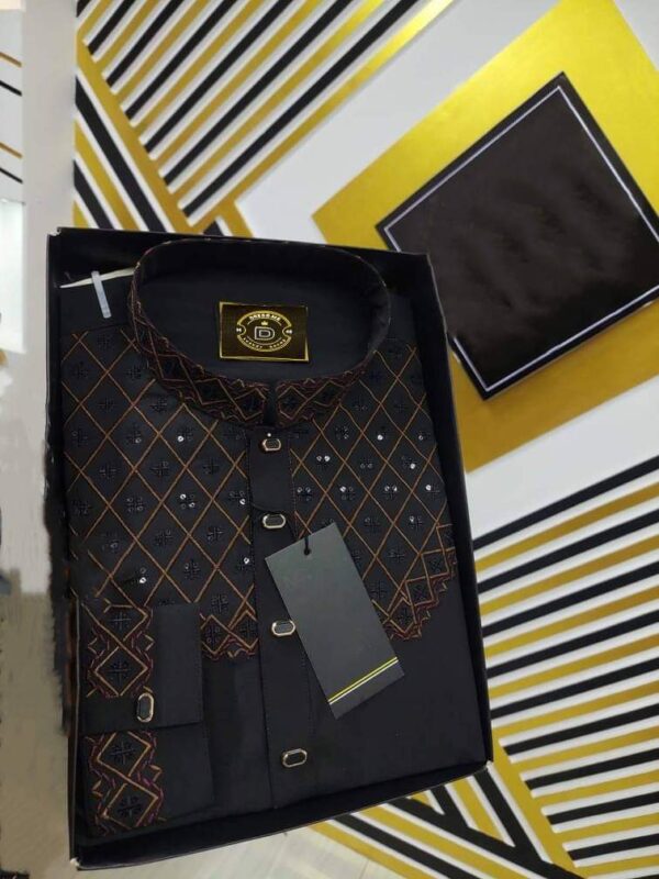Eid Collection Panjabi - Image 2