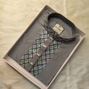 Premium Sequence Panjabi