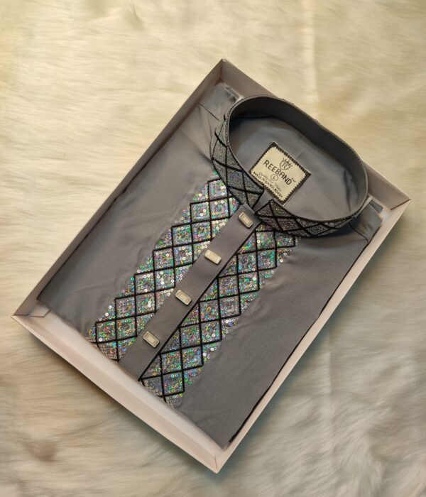 Premium Sequence Panjabi - Image 4