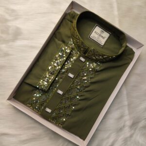 Premium Sequence Panjabi