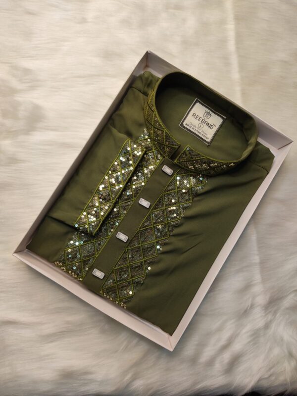 Premium Sequence Panjabi - Image 2