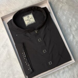 Premium Sequence Panjabi