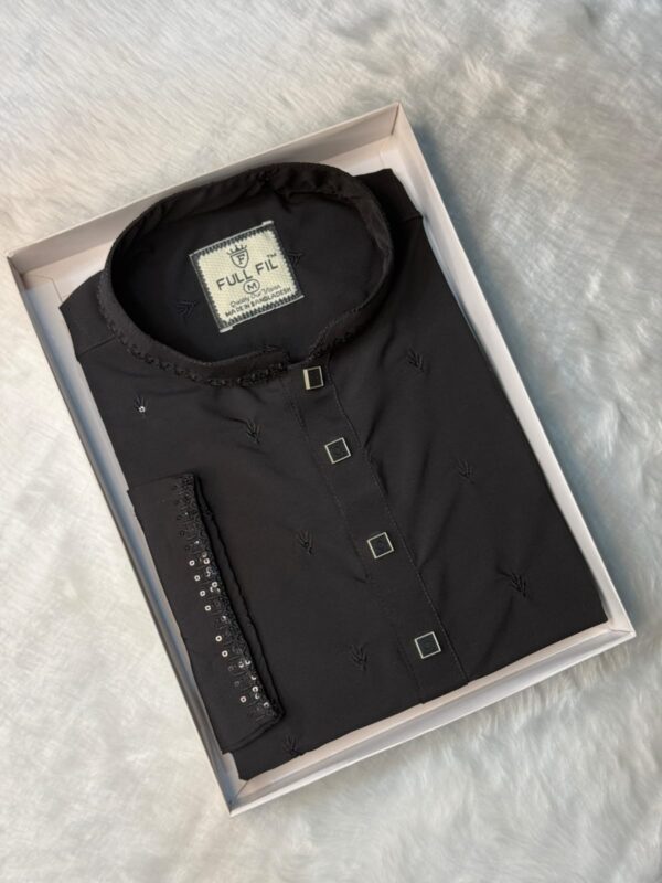 Premium Sequence Panjabi - Image 4