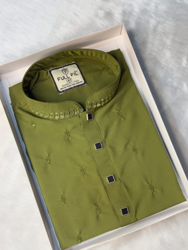 Premium Sequence Panjabi - Image 3