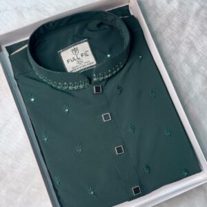 Premium Sequence Panjabi