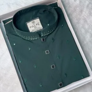 Premium Sequence Panjabi