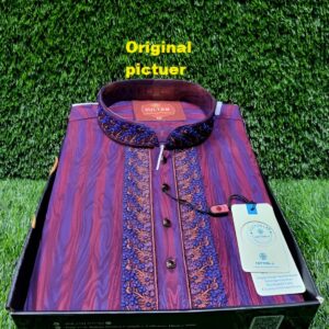 Embroidery Panjabi