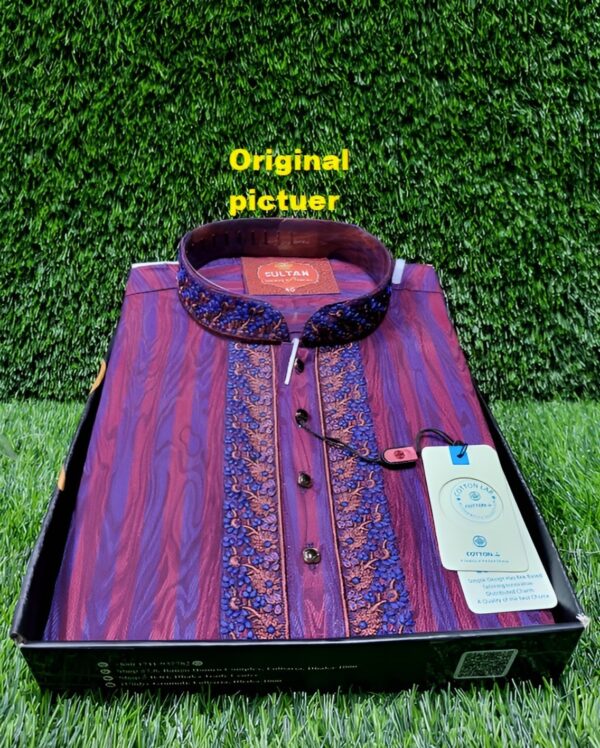 Embroidery Panjabi - Image 5