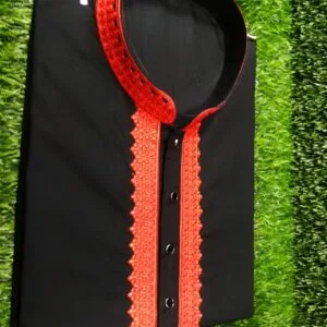 Embroidery Panjabi