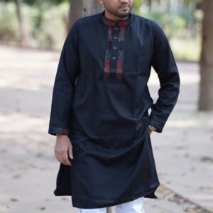 Premium Sequence Panjabi