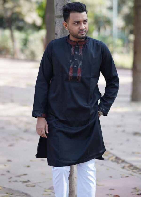 Premium Sequence Panjabi - Image 4