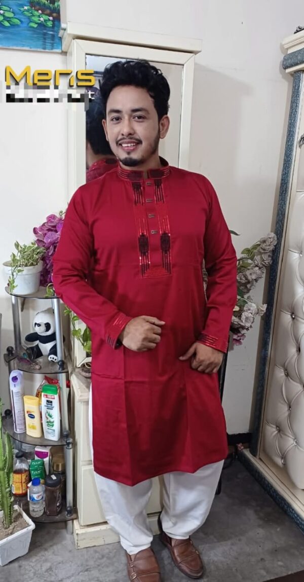 Premium Sequence Panjabi - Image 3