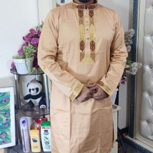Premium Sequence Panjabi