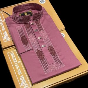 Premium Sequence Panjabi