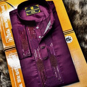Premium Sequence Panjabi