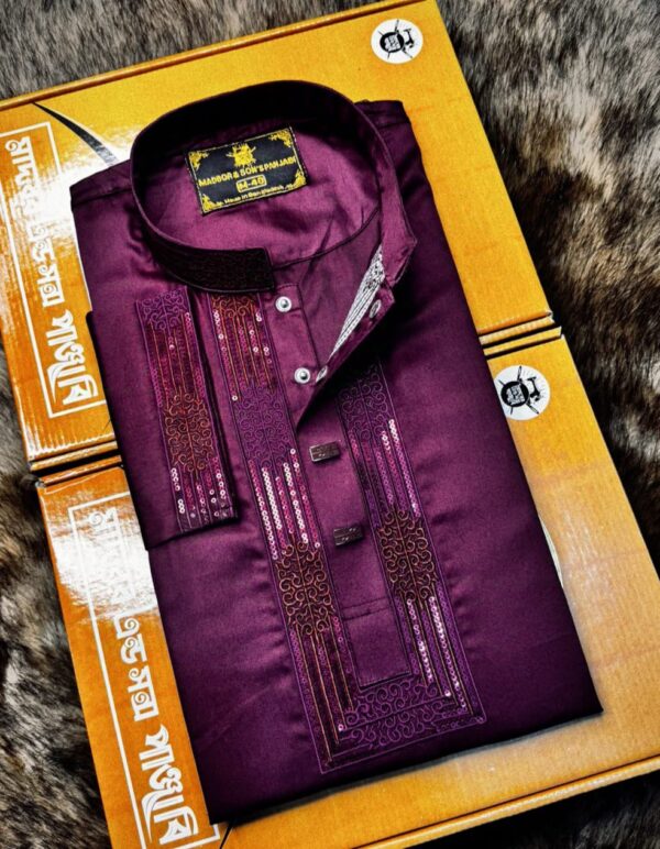 Premium Sequence Panjabi - Image 3