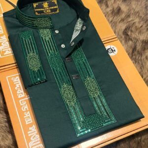 Premium Sequence Panjabi