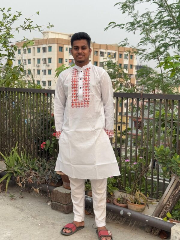 Print Panjabi - Image 2