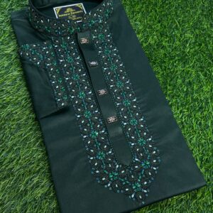 Embroidery Panjabi
