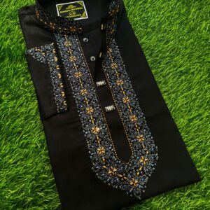 Embroidery Panjabi