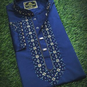 Embroidery Panjabi