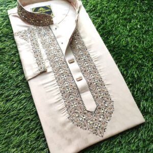 Embroidery Panjabi