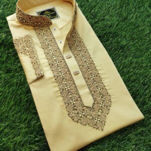 Embroidery Panjabi
