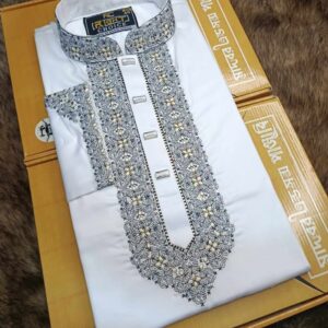 Embroidery Panjabi