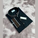 Soft Embroidery Panjabi - Image 3
